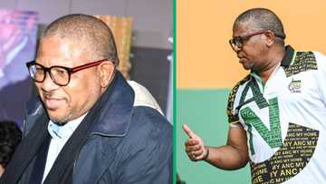 South Africans defend African National Congress Fikile Mbalula from attacks after video went viral