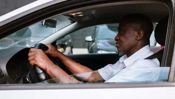 Renewing driver's licence: How to renew your licence in South Africa