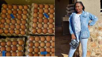 “Smart lady”: Mzansi hails woman who won R2k and started a booming business