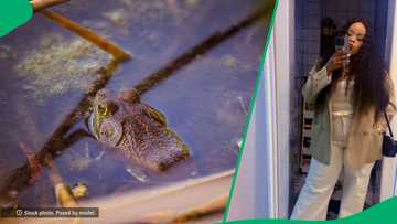 South African woman in China eats frog in TikTok video