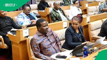 Ad Hoc police corruption committee warned not to become a 'joke' over inconclusive report