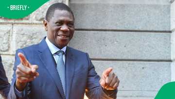 Mashatile filmed having a ball with friends, viral scenes unimpress locals