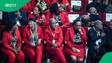 Reshuffle flop: Opposition parties snub Ekurhuleni Mayor Nkosindiphile Xhakaza’s committee changes