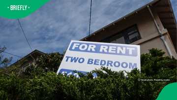 New property laws in South Africa could change evictions and land disputes
