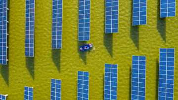 Cheaper, changing and crucial: the rise of solar power