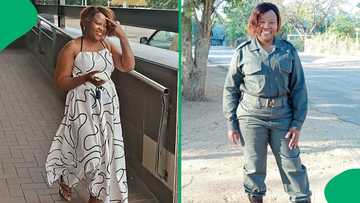 "Boom, Mufasa": Mpumalanga woman spots a lion in the Kruger while taking her kids to school