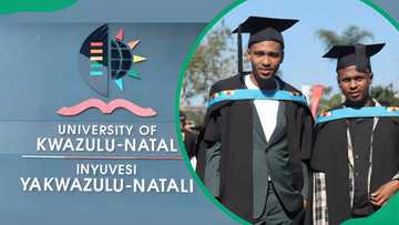 UKZN online application 2025/2026, requirements, courses, prospectus, faculties