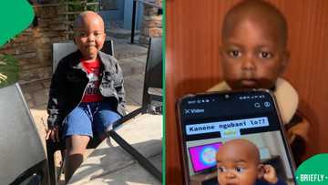 "This boy is smart": Toddler unimpressed with being turned into a cartoon character, SA in stitches