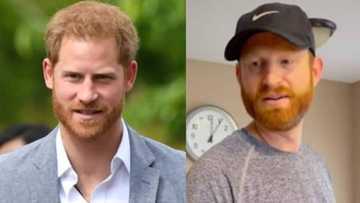 Tiktok users surprised after finding Prince Harry's doppelganger: "Looks like his twin"