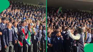 Northwood school’s ‘green lights, Bokke nights’ war cry for Springboks goes viral
