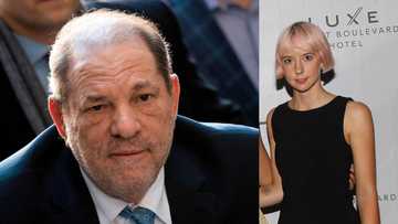 Who is Lily Weinstein? Everything about Harvey Weinstein's daughter