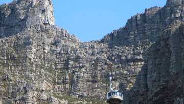 Body found on Table Mountain after 3-day search for missing runner