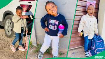 An adorable toddler's window chats with next-door dad captured Mzansi's hearts