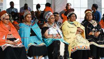 Royal family feud: Queen Dlamini Zulu loses court bid to nullify late the Zulu King's 5 marriages