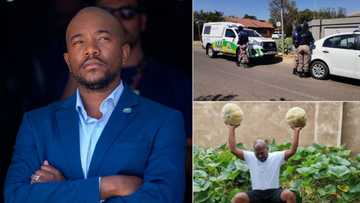 Maimane calls out cops for "bullying" Djo BaNkuna, the man fined for planting veg