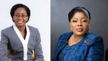 Women rising: 74 African women CEOs running business that generate revenue of $100 million and over