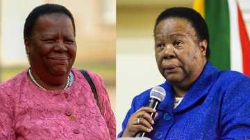 Naledi Pandor says R118m spent on New York trip is an 'embarrassment'