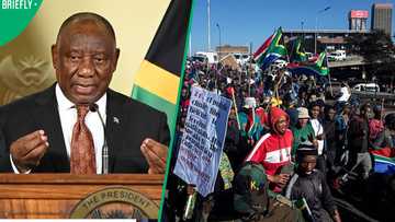 Presidency condemns anti-illegal immigration campaigns, says they harm South Africa's reputation
