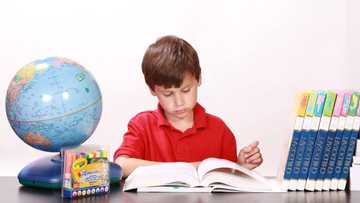 Advantages and disadvantages of homeschooling South Africa