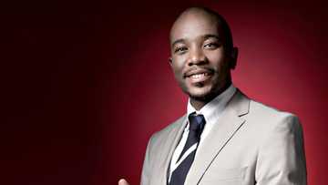 Hot facts about Mmusi Maimane that you never knew