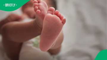 Tragic outcome: One conjoined twin dies post-surgery in Limpopo as survivor recovers, SA weighs in