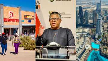 Fikile Mbalula promises that Ekurhuleni will be next Dubai, SA reacts