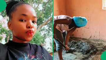 “I’m a proud stranger”: SA woman's DIY bedroom update wows Mzansi, shares video