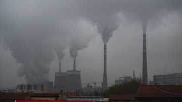 G20 per capita coal emissions growing: research