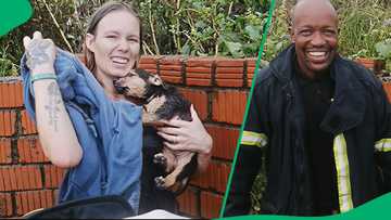 "You guys saved his life": Rescue of puppy stuck in stormwater drain moves Mzansi