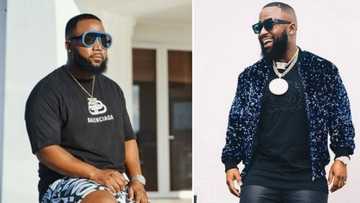 Cassper Nyovest wants different styles of music from SA artists, fans agree: "Everything just sounds the same"