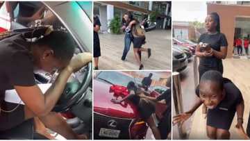 Humble lady gets surprised by boss with a car, screams in excitement and gratitude