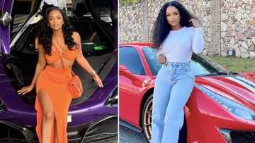 Ayanda Thabethe's car collection under scrutiny following her boyfriend Peter Matsimbe's fraud allegations