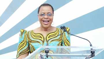 Detailed biography of Graca Machel