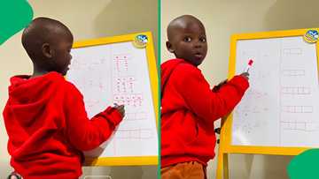 "He will go far in maths": Zuluboy's brilliance in mathematics impresses Mzansi