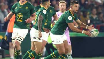 Springboks suffer injury blow as star ruled out of Wales Test