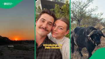 SA couple’s Kruger camping trip captures the wild beauty Mzansi loves