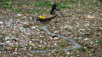 'We abuse plastic, it's so cheap': UN Environment chief