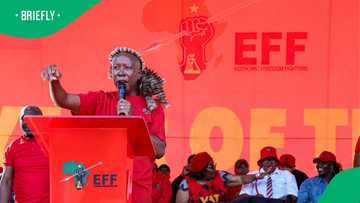 Julius Malema maintains no one wants to kill white people, insists they must return the stolen land