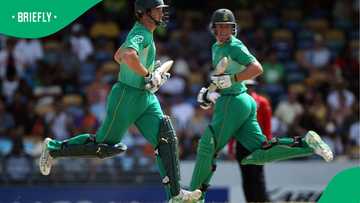 Former Proteas star Albie Morkel sued for R3.3m over alleged Ponzi scheme profits