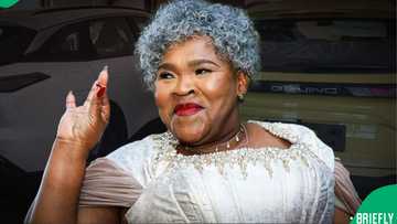 Minister Sisisi Tolashe faces questions after donated luxury car claims contradicted