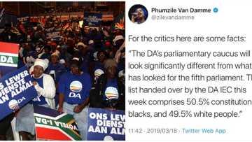DA roasted for boasting about 'constitutional blacks' on party list