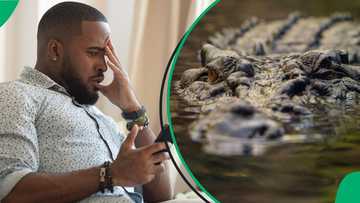 Florida man faces Hurricane Milton and a "crocodile" in his home, video gets 47 million views