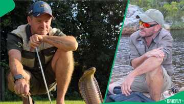 "Winterslaap in jagboot": Snake catcher removes massive Cape cobra found hiding in hunter's boots