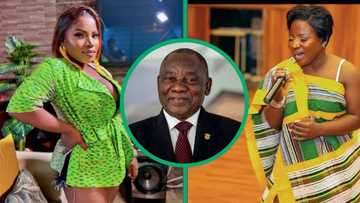 Makhadzi kneels while greeting President Cyril Ramaphosa in video, SA impressed with 'Mjolo' singer's respect