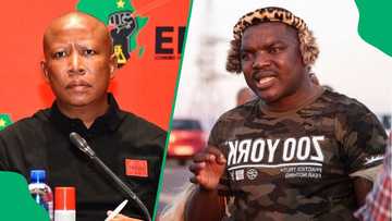 Ngizwe Mchunu questions why Julius Malema went home after sentencing: "Which law is this?"