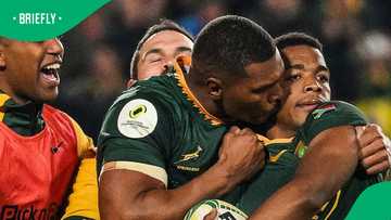 Man of the match mix-up mars Springboks’ big win over England at Ellis Park
