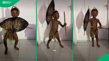 “Get this him on TV”: Mzansi adores young boy’s 'Shaka iLembe' reenactment video on Instagram