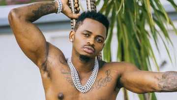 Who is Diamond Platnumz? Songs, children, wife, cars, houses, net worth