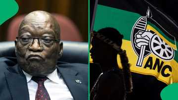 ANC confirms Jacob Zuma's expulsion, netizens not surprised