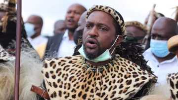 King Misuzulu Zulu bio: age, wife, coronation, education, latest news